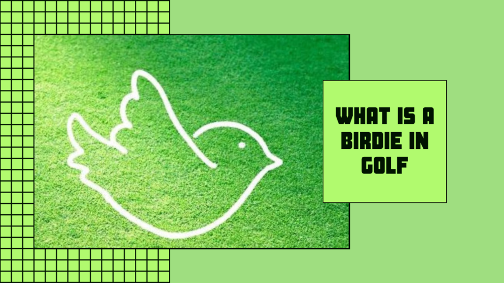 what is a birdie in golf